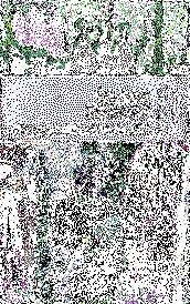 QUICO SABATÉ I LA GUERRILLA ANARQUISTA | 9788416553402 | AAVV | Llibreria Online de Banyoles | Comprar llibres en català i castellà online