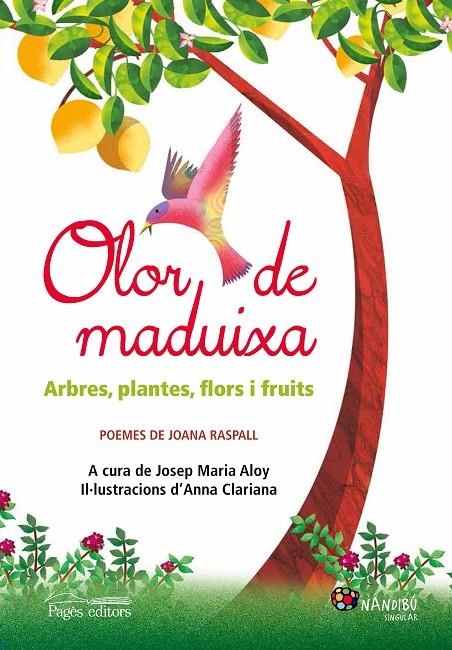 OLOR DE MADUIXA | 9788499757186 | RASPALL, JOANA | Llibreria L'Altell - Llibreria Online de Banyoles | Comprar llibres en català i castellà online - Llibreria de Girona