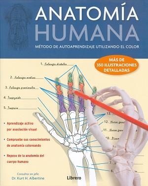 ANATOMÍA HUMANA. MÉTODO DE AUTOAPRENDIZAJE UTILIZANDO EL COLOR | 9789089986580 | DR. KURT H. ALBERTINE | Llibreria L'Altell - Llibreria Online de Banyoles | Comprar llibres en català i castellà online - Llibreria de Girona