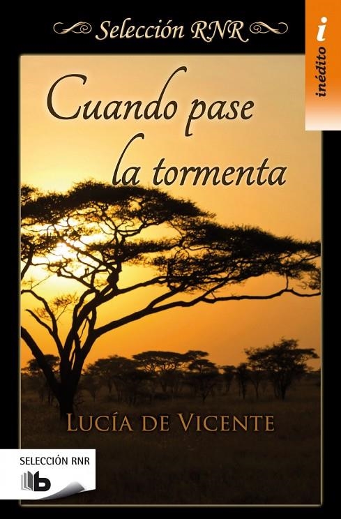 CUANDO PASE LA TORMENTA (SELECCIÓN RNR) | 9788490702543 | DE VICENTE, LUCÍA | Llibreria L'Altell - Llibreria Online de Banyoles | Comprar llibres en català i castellà online - Llibreria de Girona