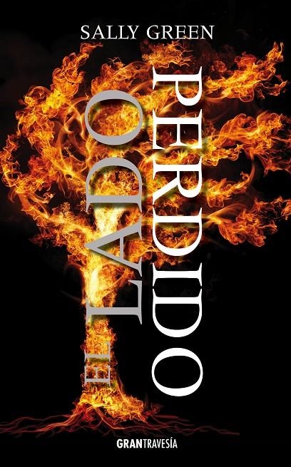 LADO PERDIDO, EL | 9788494528217 | GREEN, SALLY | Llibreria L'Altell - Llibreria Online de Banyoles | Comprar llibres en català i castellà online - Llibreria de Girona