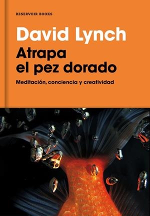 ATRAPA EL PEZ DORADO | 9788416709014 | LYNCH, DAVID | Llibreria Online de Banyoles | Comprar llibres en català i castellà online