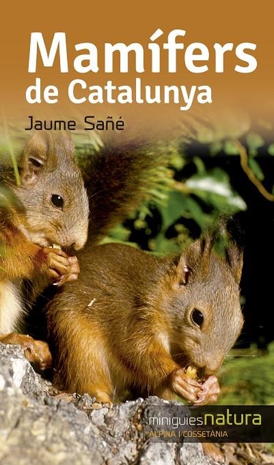 MAMÍFERS DE CATALUNYA | 9788490344811 | SAÑÉ PONS, JAUME | Llibreria L'Altell - Llibreria Online de Banyoles | Comprar llibres en català i castellà online - Llibreria de Girona