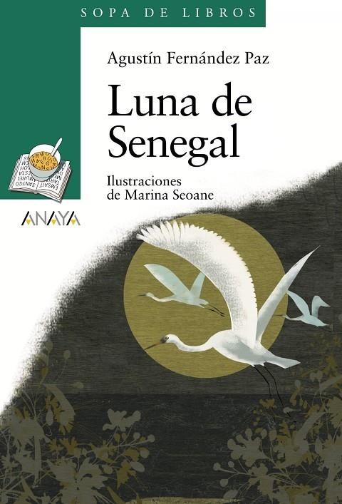 LUNA DE SENEGAL | 9788466784306 | FERNÁNDEZ PAZ, AGUSTÍN | Llibreria L'Altell - Llibreria Online de Banyoles | Comprar llibres en català i castellà online - Llibreria de Girona