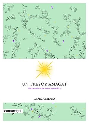 TRESOR AMAGAT, UN | 9788416605347 | LIENAS, GEMMA | Llibreria Online de Banyoles | Comprar llibres en català i castellà online
