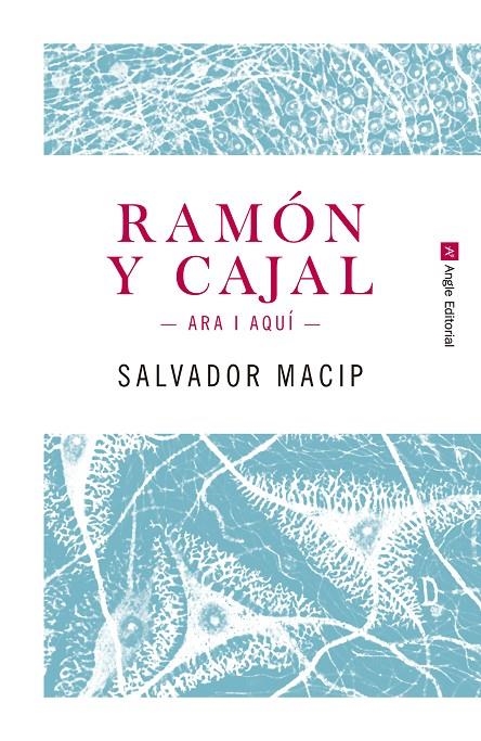RAMÓN Y CAJAL. ARA I AQUÍ | 9788415307242 | MACIP MARESMA, SALVADOR | Llibreria L'Altell - Llibreria Online de Banyoles | Comprar llibres en català i castellà online - Llibreria de Girona