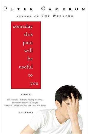 SOMEDAY THIS PAIN WILL BE USEFUL TO YOU | 9780312428167 | CAMERON, PETER | Llibreria L'Altell - Llibreria Online de Banyoles | Comprar llibres en català i castellà online - Llibreria de Girona