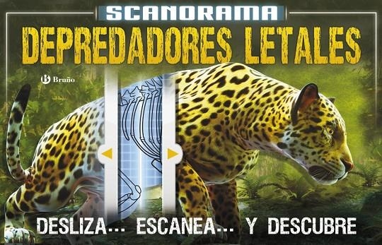 SCANORAMA. DEPREDADORES | 9788469606544 | CLAYBOURNE, ANNA | Llibreria L'Altell - Llibreria Online de Banyoles | Comprar llibres en català i castellà online - Llibreria de Girona