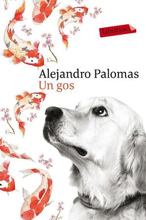 UN GOS | 9788416600625 | ALEJANDRO PALOMAS | Llibreria L'Altell - Llibreria Online de Banyoles | Comprar llibres en català i castellà online - Llibreria de Girona