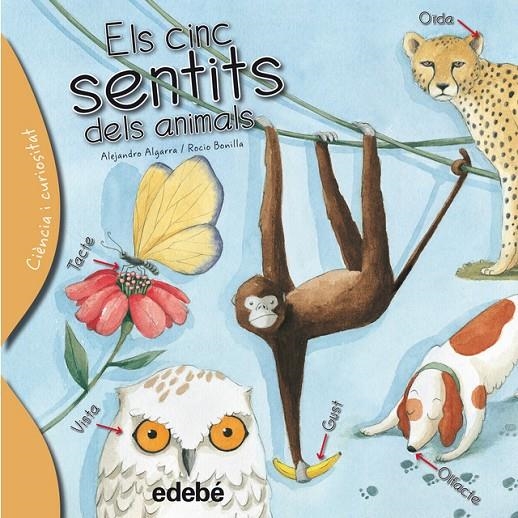 ELS CINC SENTITS DELS ANIMALS | 9788468329635 | ALGARRA ALEJAND | Llibreria L'Altell - Llibreria Online de Banyoles | Comprar llibres en català i castellà online - Llibreria de Girona