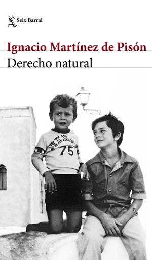 DERECHO NATURAL | 9788432232220 | MARTÍNEZ DE PISÓN, IGNACIO | Llibreria Online de Banyoles | Comprar llibres en català i castellà online