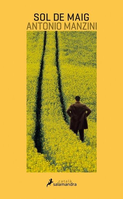 SOL DE MAIG | 9788416310227 | MANZINI, ANTONIO | Llibreria L'Altell - Llibreria Online de Banyoles | Comprar llibres en català i castellà online - Llibreria de Girona