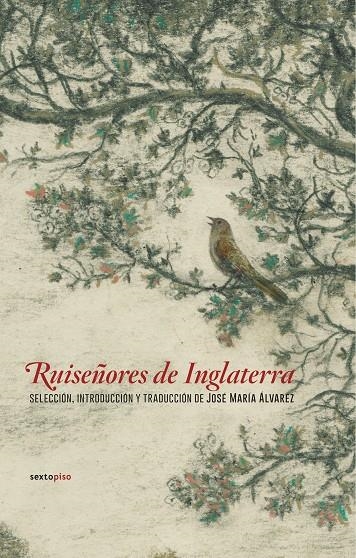 RUISEÑORES DE INGLATERRA | 9788416677498 | AAVV | Llibreria L'Altell - Llibreria Online de Banyoles | Comprar llibres en català i castellà online - Llibreria de Girona