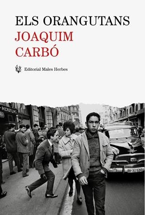 ORANGUTANS, ELS | 9788494725821 | CARBÓ, JOAQUIM | Llibreria L'Altell - Llibreria Online de Banyoles | Comprar llibres en català i castellà online - Llibreria de Girona