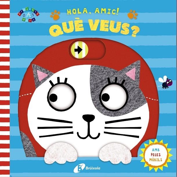HOLA, AMIC! QUÈ VEUS? | 9788499068039 | VARIOS | Llibreria L'Altell - Llibreria Online de Banyoles | Comprar llibres en català i castellà online - Llibreria de Girona
