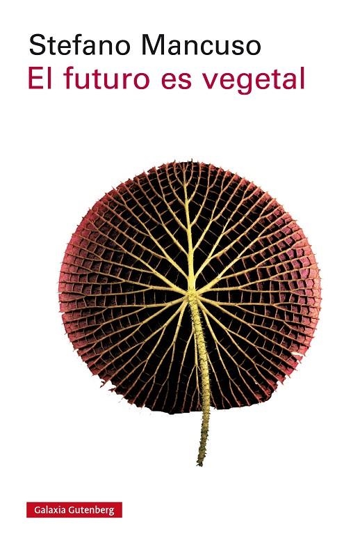 FUTURO ES VEGETAL, EL | 9788417088170 | MANCUSO, STEFANO | Llibreria L'Altell - Llibreria Online de Banyoles | Comprar llibres en català i castellà online - Llibreria de Girona