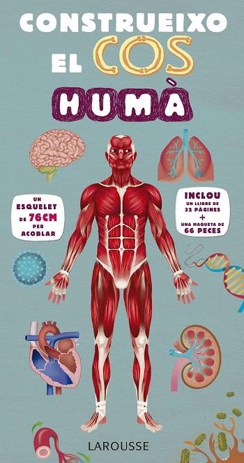 CONSTRUEIXO EL COS HUMÀ | 9788416984107 | LAROUSSE EDITORIAL | Llibreria Online de Banyoles | Comprar llibres en català i castellà online