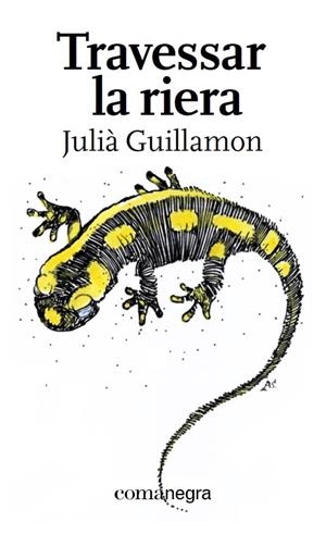 TRAVESSAR LA RIERA | 9788417188047 | GUILLAMON MOTA, JULIÀ | Llibreria L'Altell - Llibreria Online de Banyoles | Comprar llibres en català i castellà online - Llibreria de Girona