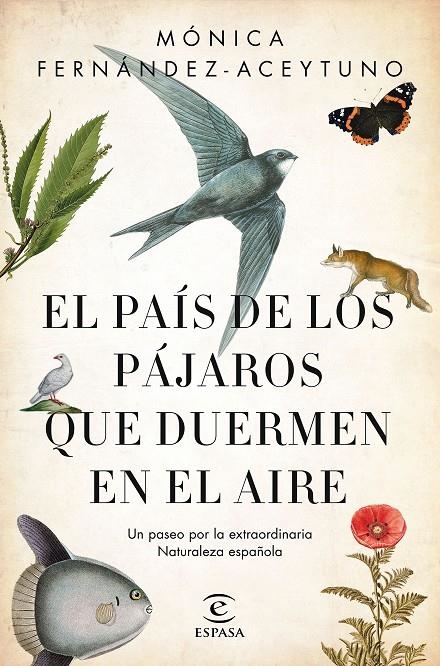 PAÍS DE LOS PÁJAROS QUE DUERMEN EN EL AIRE, EL | 9788467051469 | FERNÁNDEZ-ACEYTUNO SAÉNZ DE SANTA MARÍA, MÓNICA | Llibreria Online de Banyoles | Comprar llibres en català i castellà online