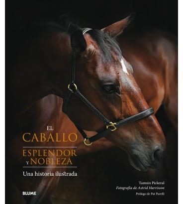 EL CABALLO. ESPLENDOR Y NOBLEZA | 9788417254445 | PICKERAL, TAMSIN/HARRISSON, ASTRID | Llibreria L'Altell - Llibreria Online de Banyoles | Comprar llibres en català i castellà online - Llibreria de Girona