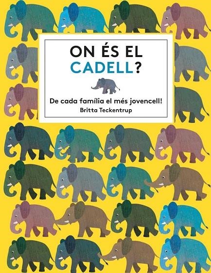 ON ÉS EL CADELL? | 9788494681561 | HAWORTH, KATIE | Llibreria L'Altell - Llibreria Online de Banyoles | Comprar llibres en català i castellà online - Llibreria de Girona
