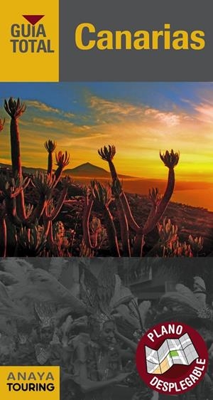 CANARIAS | 9788499358994 | HERNÁNDEZ BUENO, MARIO/BARBADILLO, JAVIER/DE HITA MORENO, CARLOS/SERRA NARANJO, RAFAEL/MORALES SUÁRE | Llibreria Online de Banyoles | Comprar llibres en català i castellà online