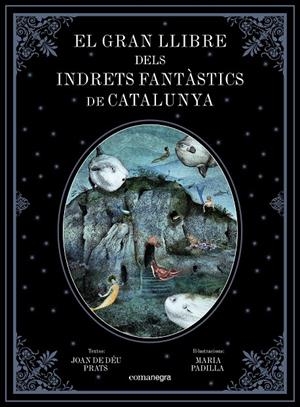 GRAN LLIBRE DELS INDRETS FANTÀSTICS DE CATALUNYA, EL | 9788417188344 | PRATS PIJOAN, JOAN DE DÉU/PADILLA CLIMENT, MARIA | Llibreria Online de Banyoles | Comprar llibres en català i castellà online