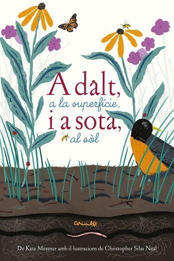 A DALT, A LA SUPERFÍCIE, I A SOTA, AL SÒL | 9788484705765 | MESSNER, KATE/SILAS NEAL, CHRISTOPHER | Llibreria Online de Banyoles | Comprar llibres en català i castellà online