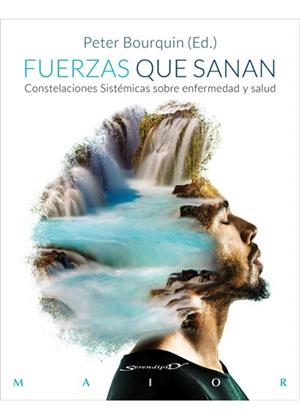 FUERZAS QUE SANAN | 9788433029218 | BOURQUIN, PETER | Llibreria L'Altell - Llibreria Online de Banyoles | Comprar llibres en català i castellà online - Llibreria de Girona