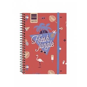 AGENDA 2018-2019 1/8 SV FLAMINGO | 8422952163060 | Llibreria Online de Banyoles | Comprar llibres en català i castellà online