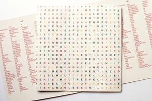 PARAULES, LES. UN COTE AMAGAT EN UNA SOPA DE LLETRES | 9788494478062 | LLUÍS SABADELL ARTIGA | Llibreria Online de Banyoles | Comprar llibres en català i castellà online