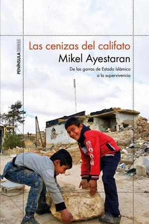 LAS CENIZAS DEL CALIFATO | 9788499427065 | AYESTARAN, MIKEL | Llibreria Online de Banyoles | Comprar llibres en català i castellà online