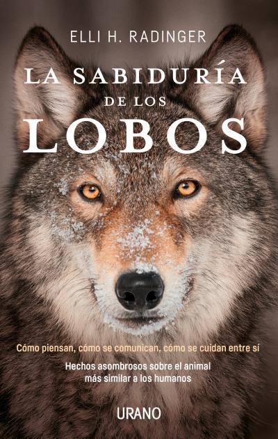 LA SABIDURÍA DE LOS LOBOS | 9788416720262 | RADINGER, ELLI H. | Llibreria L'Altell - Llibreria Online de Banyoles | Comprar llibres en català i castellà online - Llibreria de Girona