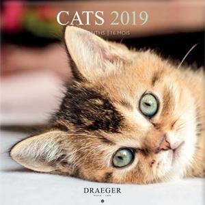 CALENDARI CATS 2019 16 MESOS DRAEGER | 3045677930912 | DRAEGER | Llibreria L'Altell - Llibreria Online de Banyoles | Comprar llibres en català i castellà online - Llibreria de Girona