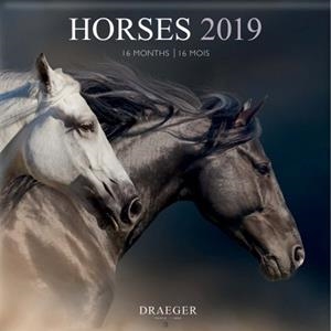CALENDARI HORSES 2019 16 MESOS DRAEGER | 3045677930936 | DRAEGER | Llibreria L'Altell - Llibreria Online de Banyoles | Comprar llibres en català i castellà online - Llibreria de Girona