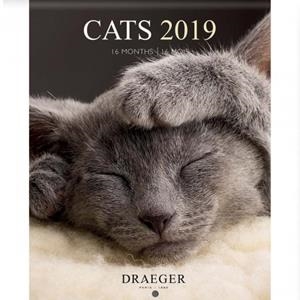 CALENDARI CATS 2019 16 MESOS DRAEGER | 3045677930752 | DRAEGER | Llibreria L'Altell - Llibreria Online de Banyoles | Comprar llibres en català i castellà online - Llibreria de Girona