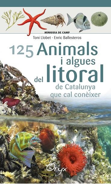 125 ANIMALS I ALGUES DEL LITORAL DE CATALUNYA | 9788490347416 | BALLESTEROS SAGARRA, ENRIC | Llibreria Online de Banyoles | Comprar llibres en català i castellà online