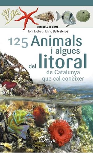 125 ANIMALS I ALGUES DEL LITORAL DE CATALUNYA | 9788490347416 | BALLESTEROS SAGARRA, ENRIC | Llibreria L'Altell - Llibreria Online de Banyoles | Comprar llibres en català i castellà online - Llibreria de Girona