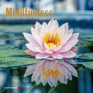 CALENDARIO MINDFULNESS 2019 | 9788448024598 | AA. VV. | Llibreria Online de Banyoles | Comprar llibres en català i castellà online