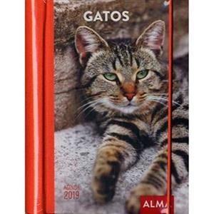 2019 AGENDA GATOS | 8437012673823 | Llibreria L'Altell - Llibreria Online de Banyoles | Comprar llibres en català i castellà online - Llibreria de Girona