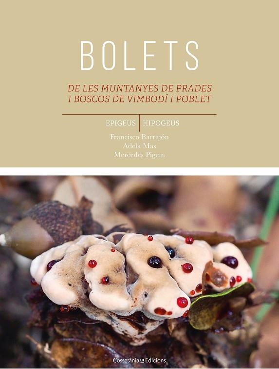BOLETS DE LES MUNTANYES DE PRADES I BOSCOS DE VIMBODÍ I POBLET | 9788490347584 | BARRAJÓN IBÁÑEZ, FRANCISCO/PIGEM CIURANA, MARIA MERCEDES/MAS CARRE, ADELA | Llibreria L'Altell - Llibreria Online de Banyoles | Comprar llibres en català i castellà online - Llibreria de Girona