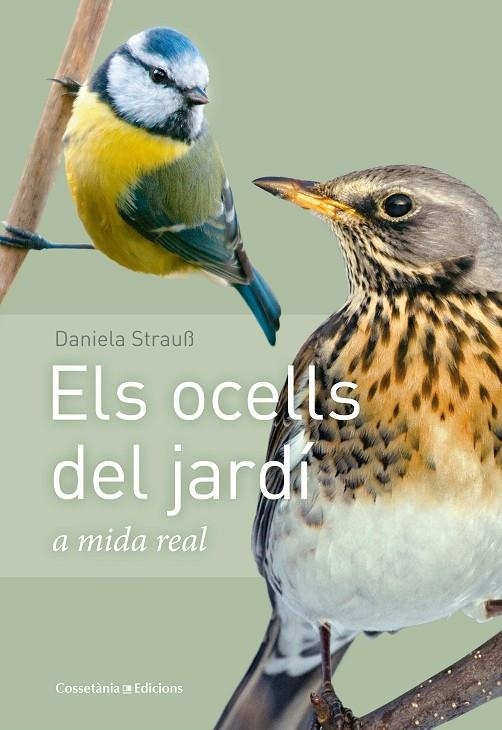 ELS OCELLS DEL JARDÍ | 9788490347461 | STRAUß, DANIELA | Llibreria L'Altell - Llibreria Online de Banyoles | Comprar llibres en català i castellà online - Llibreria de Girona
