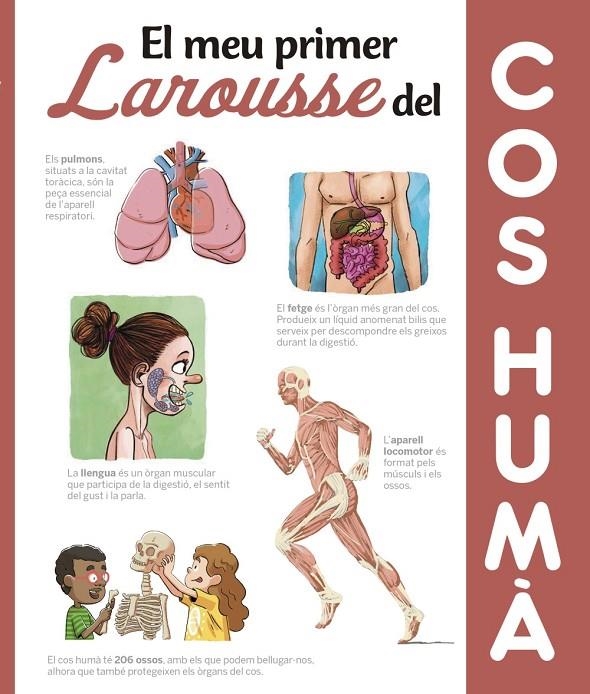 EL MEU PRIMER LAROUSSE DEL COS HUMÀ | 9788417273606 | LAROUSSE EDITORIAL | Llibreria L'Altell - Llibreria Online de Banyoles | Comprar llibres en català i castellà online - Llibreria de Girona