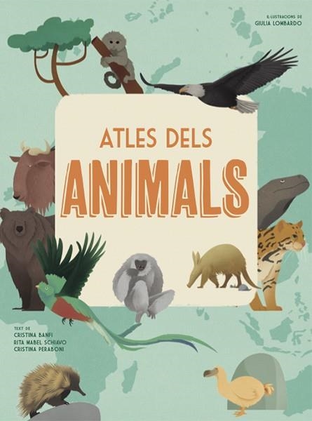 ATLES DELS ANIMALS | 9788468258867 | BANFI, CRISTINA/SCHIAVO, RITA/PERABONI, CRISTINA | Llibreria L'Altell - Llibreria Online de Banyoles | Comprar llibres en català i castellà online - Llibreria de Girona