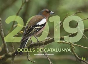 CALEN. 2019 OCELLS DE CATALUNYA | 9788409035465 | MAPZINE | Llibreria L'Altell - Llibreria Online de Banyoles | Comprar llibres en català i castellà online - Llibreria de Girona