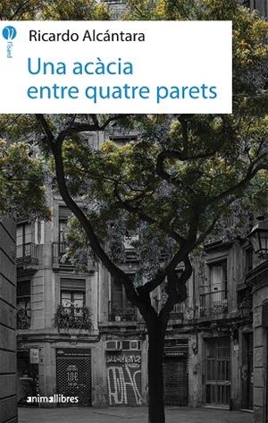 ACÀCIA ENTRE QUATRE PARETS, UNA | 9788417599010 | ALCÁNTARA SGARBI, RICARDO | Llibreria L'Altell - Llibreria Online de Banyoles | Comprar llibres en català i castellà online - Llibreria de Girona