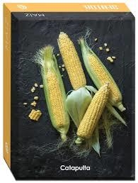 SENTTIA MAIZ | 9789876377294 | AAVV | Llibreria Online de Banyoles | Comprar llibres en català i castellà online