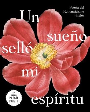 UN SUEÑO SELLÓ MI ESPÍRITU | 9788439735328 | VARIOS AUTORES, | Llibreria Online de Banyoles | Comprar llibres en català i castellà online