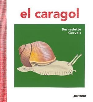 CARAGOL, EL | 9788426145680 | GERVAIS, BERNADETTE/TORNERO BRUGUÉS, SUSANA | Llibreria L'Altell - Llibreria Online de Banyoles | Comprar llibres en català i castellà online - Llibreria de Girona