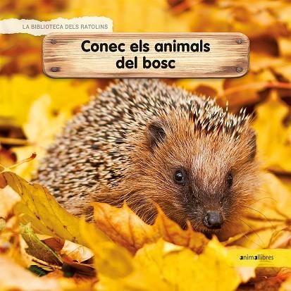 CONEC ELS ANIMALS DEL BOSC | 9788417599218 | LAMOUR-CROCHET, CÉLINE | Llibreria L'Altell - Llibreria Online de Banyoles | Comprar llibres en català i castellà online - Llibreria de Girona